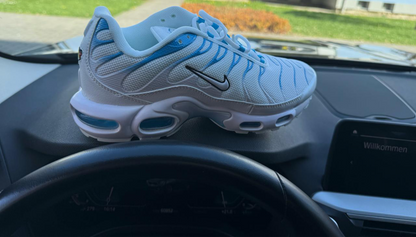 Nike tn plus blue