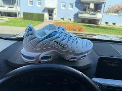 Nike tn plus blue