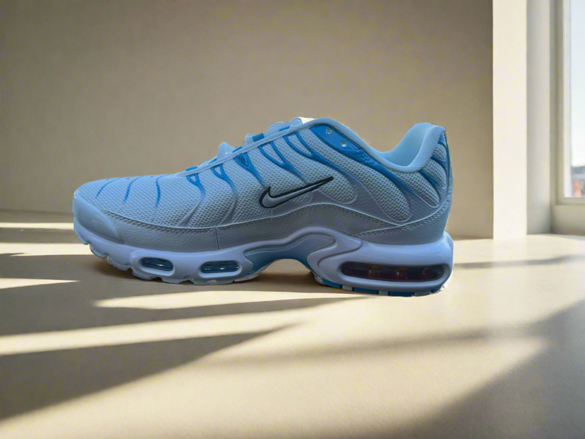 Nike tn plus blue