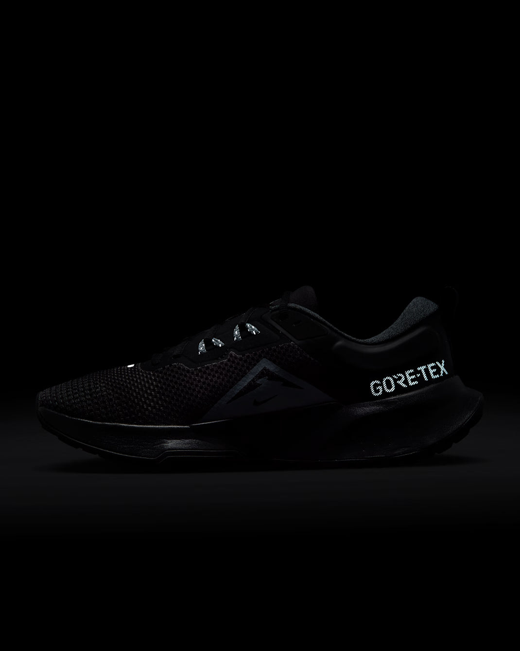 Nike Juniper Trail 2 GORE-TEX