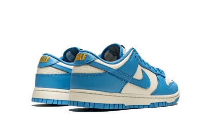 Nike Dunk Low Coast (W)